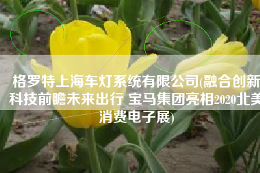 格罗特上海车灯系统有限公司(融合创新科技前瞻未来出行 宝马集团亮相2020北美消费电子展)