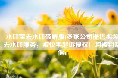 水印宝去水印破解版(多家公司提供视频去水印服务，被快手起诉侵权！均被判赔偿)
