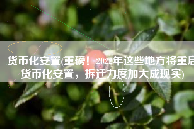 货币化安置(重磅！2022年这些地方将重启货币化安置，拆迁力度加大成现实)