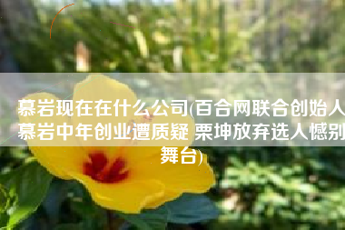 慕岩现在在什么公司(百合网联合创始人慕岩中年创业遭质疑 栗坤放弃选人憾别舞台)
