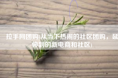 拉手网团购(从当下热闹的社区团购，延伸到的新电商和社区)