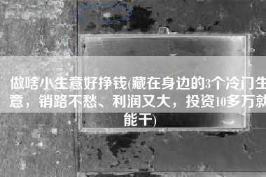 做啥小生意好挣钱(藏在身边的3个冷门生意，销路不愁、利润又大，投资10多万就能干)