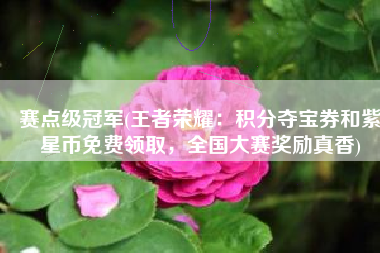 赛点级冠军(王者荣耀：积分夺宝券和紫星币免费领取，全国大赛奖励真香)