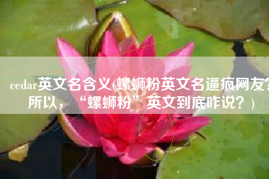 cedar英文名含义(螺蛳粉英文名逼疯网友？所以，“螺蛳粉”英文到底咋说？)
