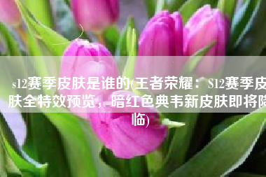 s12赛季皮肤是谁的(王者荣耀：S12赛季皮肤全特效预览，暗红色典韦新皮肤即将降临)