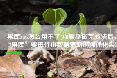 果库app怎么用不了(4.0版本做完减法后，“果库”要进行由数据辅助的媒体化尝试)