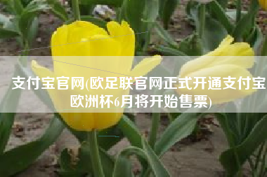 支付宝官网(欧足联官网正式开通支付宝 欧洲杯6月将开始售票)