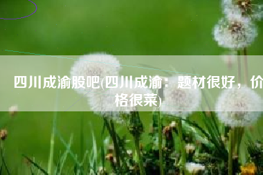 四川成渝股吧(四川成渝：题材很好，价格很菜)