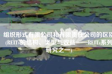 组织形式有限公司和有限责任公司的区别(REITs的结构、类型与收益——REITs系列研究之一)