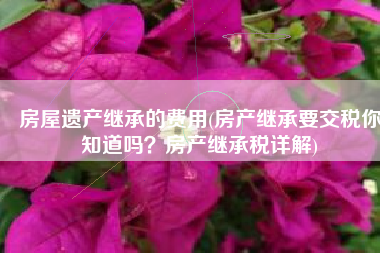 房屋遗产继承的费用(房产继承要交税你知道吗？房产继承税详解)