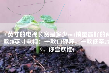 70英寸的电视长宽是多少cm(销量最好的两款70英寸电视：一款口碑好，一款低至2399，你喜欢谁)