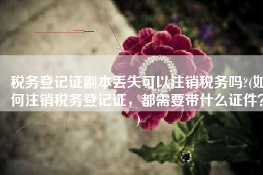 税务登记证副本丢失可以注销税务吗?(如何注销税务登记证，都需要带什么证件？)
