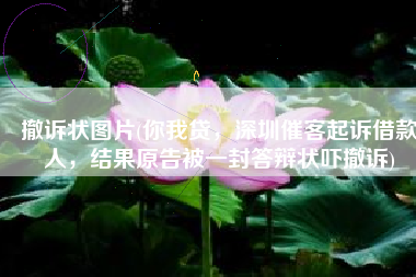 撤诉状图片(你我贷，深圳催客起诉借款人，结果原告被一封答辩状吓撤诉)