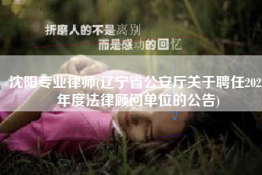 沈阳专业律师(辽宁省公安厅关于聘任2022年度法律顾问单位的公告)