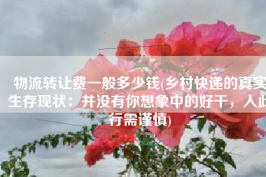 物流转让费一般多少钱(乡村快递的真实生存现状：并没有你想象中的好干，入此行需谨慎)