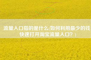 流量入口指的是什么(如何利用最少的钱，快速打开淘宝流量入口？)