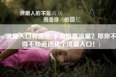 流量入口有哪些(手淘想要流量？那你不得不知道这几个流量入口！)
