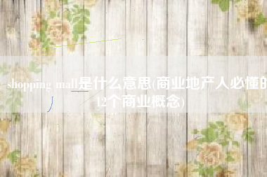 shopping mall是什么意思(商业地产人必懂的12个商业概念)