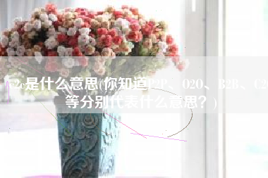 c2c是什么意思(你知道P2P、O2O、B2B、C2C等分别代表什么意思？)