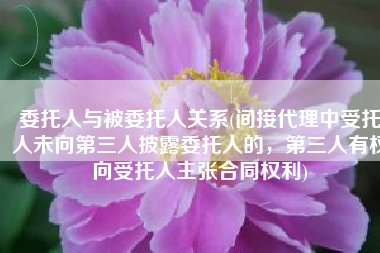 委托人与被委托人关系(间接代理中受托人未向第三人披露委托人的，第三人有权向受托人主张合同权利)