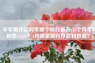 半年期存款利率哪个银行最高(15个月年化利率4.65%？4月哪家银行存款利息高？)