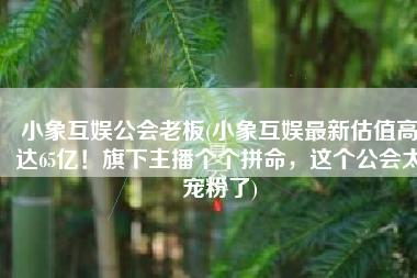 小象互娱公会老板(小象互娱最新估值高达65亿！旗下主播个个拼命，这个公会太宠粉了)