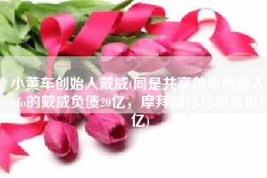 小黄车创始人戴威(同是共享单车创始人，ofo的戴威负债20亿，摩拜胡玮炜却身价15亿)