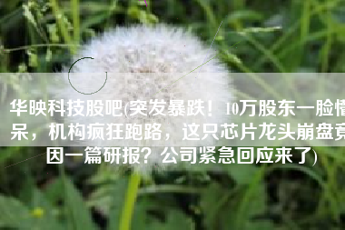华映科技股吧(突发暴跌！10万股东一脸懵呆，机构疯狂跑路，这只芯片龙头崩盘竟因一篇研报？公司紧急回应来了)