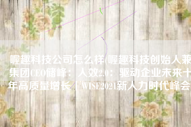喔趣科技公司怎么样(喔趣科技创始人兼集团CEO储峰：人效2.0：驱动企业未来十年高质量增长丨WISE2021新人力时代峰会)