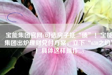 宝能集团官网(可选房子抵“债”！宝能集团出炉理财兑付方案，立下“630之约”！具体这样操作...)