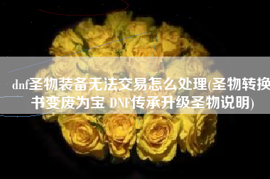 dnf圣物装备无法交易怎么处理(圣物转换书变废为宝 DNF传承升级圣物说明)