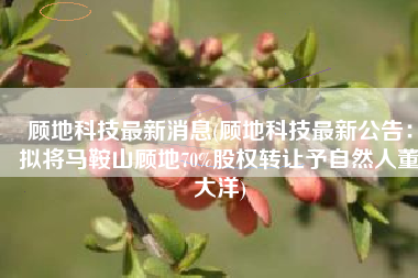 顾地科技最新消息(顾地科技最新公告：拟将马鞍山顾地70%股权转让予自然人董大洋)