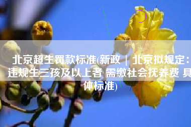 北京超生罚款标准(新政 | 北京拟规定：违规生三孩及以上者 需缴社会抚养费 具体标准)