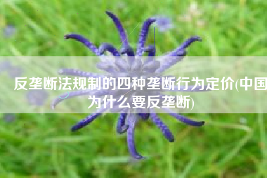 反垄断法规制的四种垄断行为定价(中国为什么要反垄断)