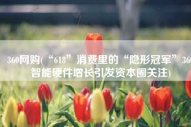 360网购(“618”消费里的“隐形冠军”360智能硬件增长引发资本圈关注)