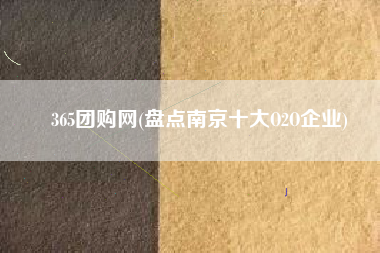 365团购网(盘点南京十大O2O企业)