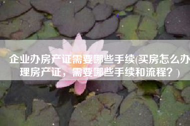 企业办房产证需要哪些手续(买房怎么办理房产证，需要哪些手续和流程？)
