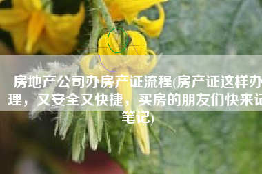 房地产公司办房产证流程(房产证这样办理，又安全又快捷，买房的朋友们快来记笔记)