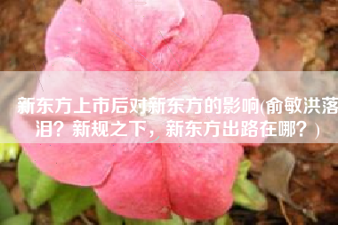 新东方上市后对新东方的影响(俞敏洪落泪？新规之下，新东方出路在哪？)