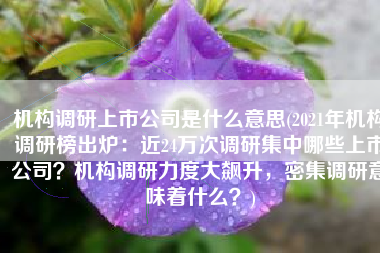 机构调研上市公司是什么意思(2021年机构调研榜出炉：近24万次调研集中哪些上市公司？机构调研力度大飙升，密集调研意味着什么？)