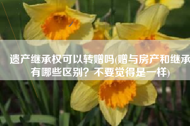 遗产继承权可以转赠吗(赠与房产和继承有哪些区别？不要觉得是一样)