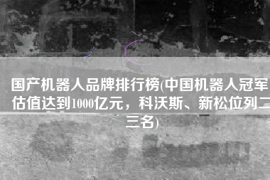 国产机器人品牌排行榜(中国机器人冠军，估值达到1000亿元，科沃斯、新松位列二三名)