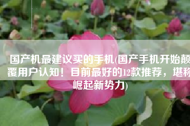 国产机最建议买的手机(国产手机开始颠覆用户认知！目前最好的12款推荐，堪称崛起新势力)