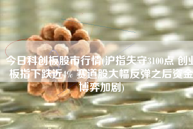 今日科创板股市行情(沪指失守3100点 创业板指下跌近4% 赛道股大幅反弹之后资金博弈加剧)