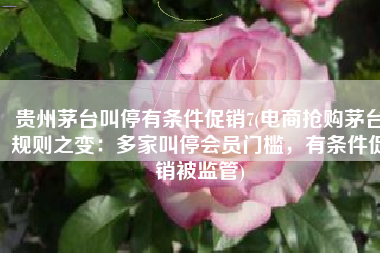 贵州茅台叫停有条件促销7(电商抢购茅台规则之变：多家叫停会员门槛，有条件促销被监管)