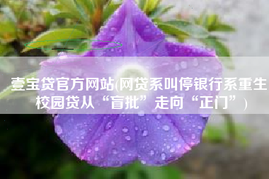 壹宝贷官方网站(网贷系叫停银行系重生 校园贷从“盲批”走向“正门”)