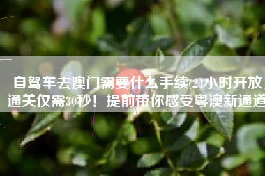 自驾车去澳门需要什么手续(24小时开放，通关仅需30秒！提前带你感受粤澳新通道)