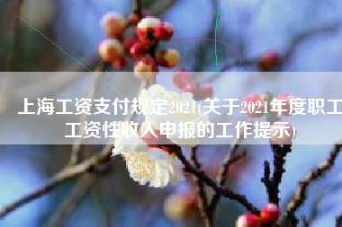 上海工资支付规定2021(关于2021年度职工工资性收入申报的工作提示)