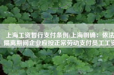 上海工资暂行支付条例(上海明确：依法隔离期间企业应按正常劳动支付员工工资)