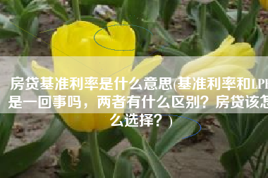 房贷基准利率是什么意思(基准利率和LPR是一回事吗，两者有什么区别？房贷该怎么选择？)